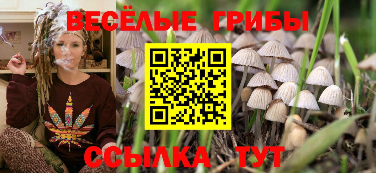 Ялта  Псилоцибиновые грибы ЛСД  где найти наркотики  Вход с VPN 